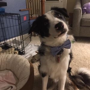 Meet your Posher, Kevin